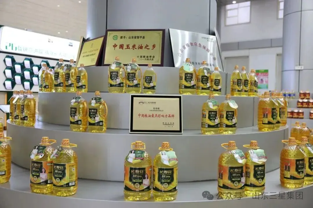 长寿花图片3