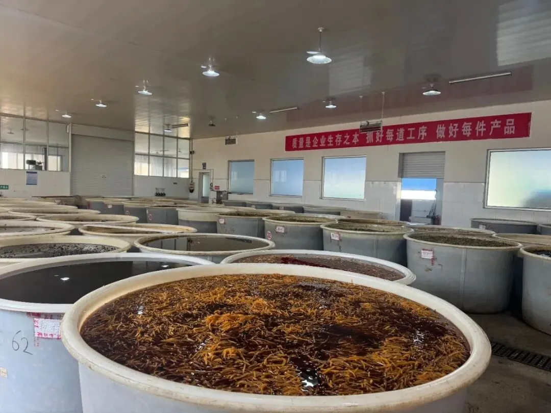 颜师傅图片2
